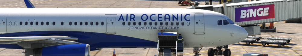 Air Oceanic aircraft