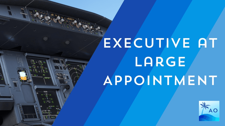 Executive at Large Appointment
